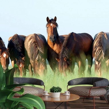 Horse 3