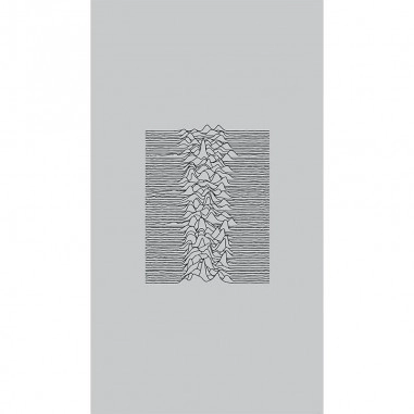 Πίνακας σε καμβά Joy Division Unknown Pleasures Grey