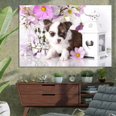Πίνακας με Puppy