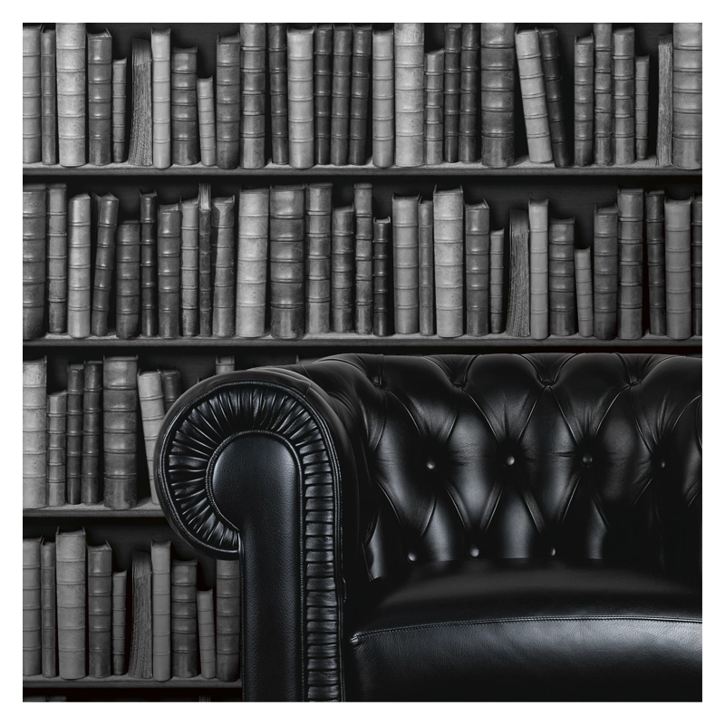 ταπετσαρίες για κρεβατοκάμαρες με βιβλία