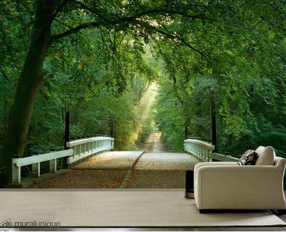 φωτοταπετσαρία με ορεινό δάσος