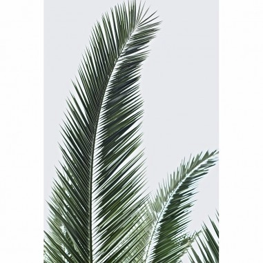 Leaves 6