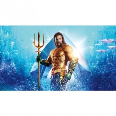 Πίνακας σε καμβά Aquaman