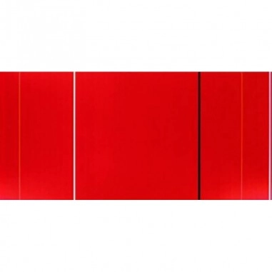 Πίνακας σε καμβά Barnett Newman vir heroicus sublimis