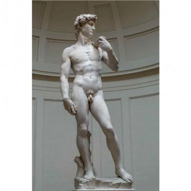 Πίνακας σε καμβά MichelAngelo Buonarroti - David