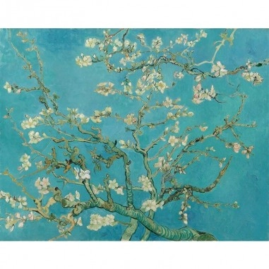 Πίνακας σε καμβά Van Gogh - Almond Blossom