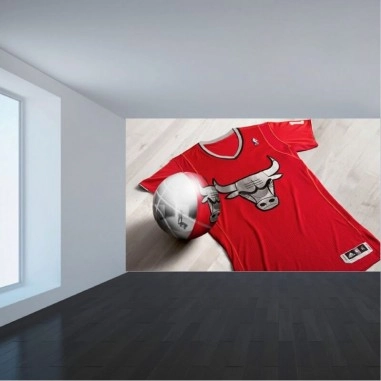 Ταπετσαρία τοίχου  Chicago Bulls
