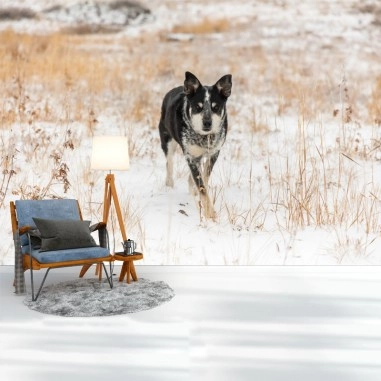 Ταπετσαρία τοίχου Dog Ταπετσαρία τοίχου Dog