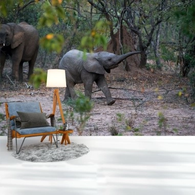 Ταπετσαρία τοίχου  Elephant