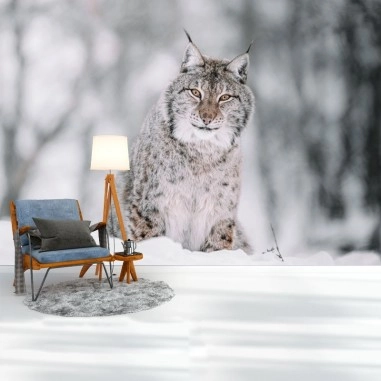 Ταπετσαρία τοίχου  Lynx