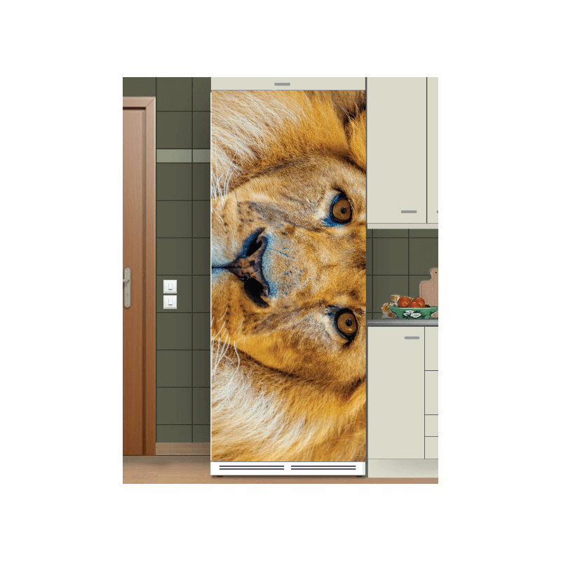 Αυτοκόλλητα ψυγείου λιοντάρι