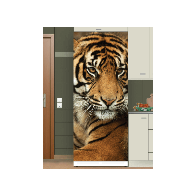 Αυτοκόλλητα ψυγείου τίγρη 2