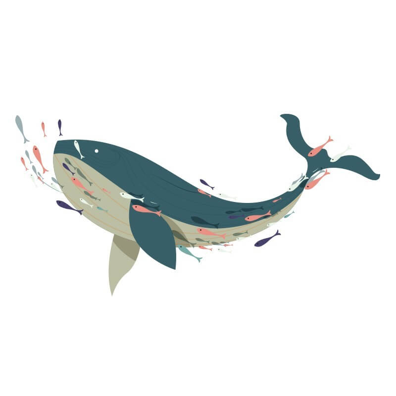 Αυτοκόλλητο τοίχου Φάλαινα με ψαράκια