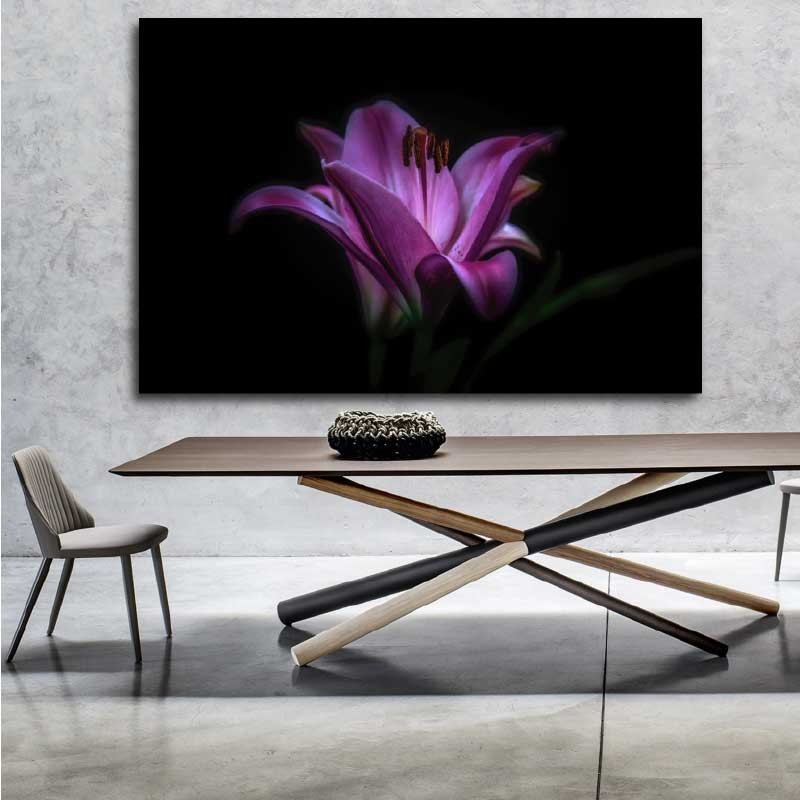 Πίνακας σε καμβα Lily 75x50 Τελαρωμένος καμβάς σε ξύλο με πάχος 2cm