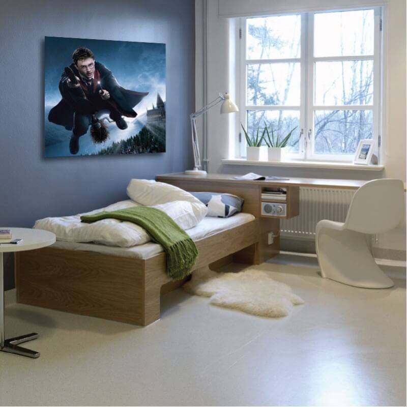 Πίνακας σε καμβά Harry Potter Quidditch 50x50 Τελαρωμένος καμβάς σε ξύλο με πάχος 2cm