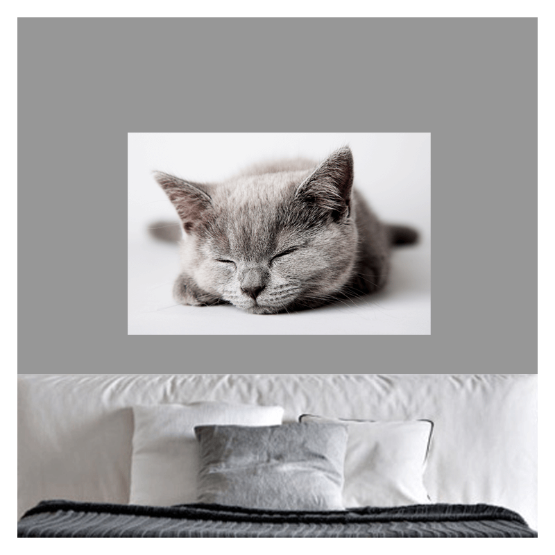 Πίνακας σε καμβά sleepy cat 165x110 Τελαρωμένος καμβάς σε ξύλο με πάχος 2cm
