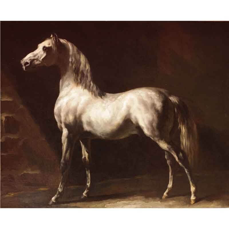 Πίνακας σε καμβά Théodore Géricault - White Arabian Horse - 1824