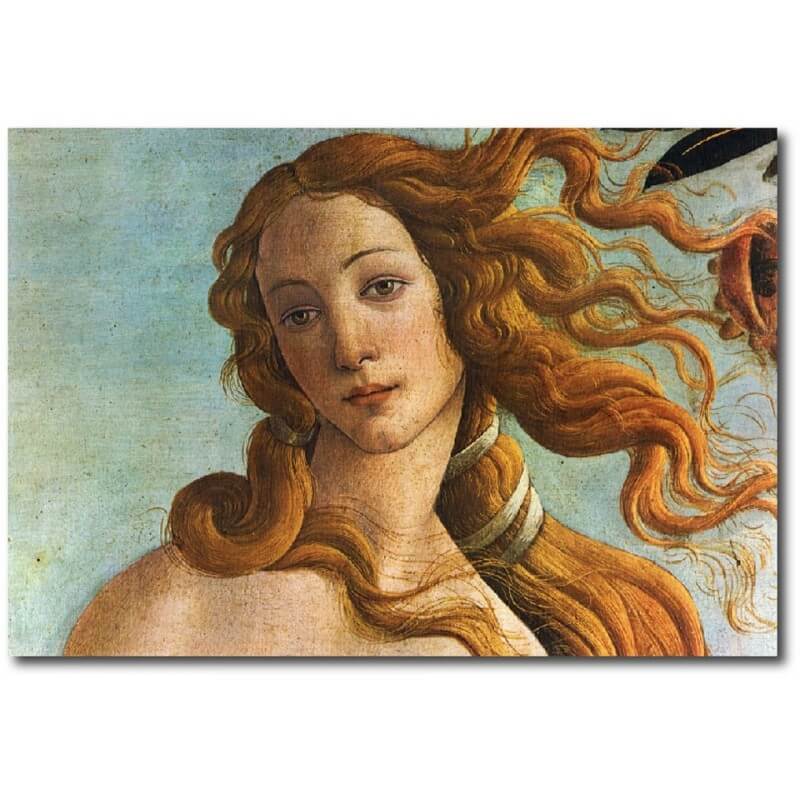 Πίνακας σε καμβά του Boticelli Venus