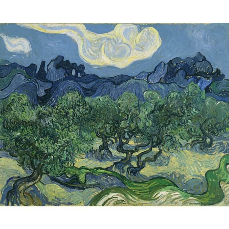 Πίνακας σε καμβά Van Gogh - The Olive Trees
