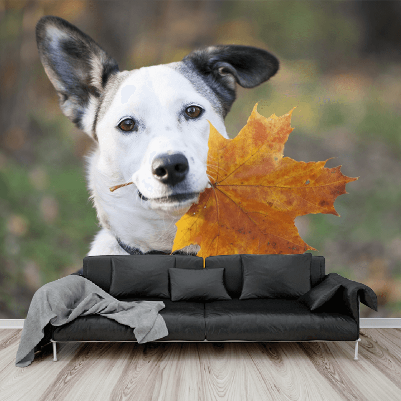 Ταπετσαρία τοίχου Με Dog With Leaf