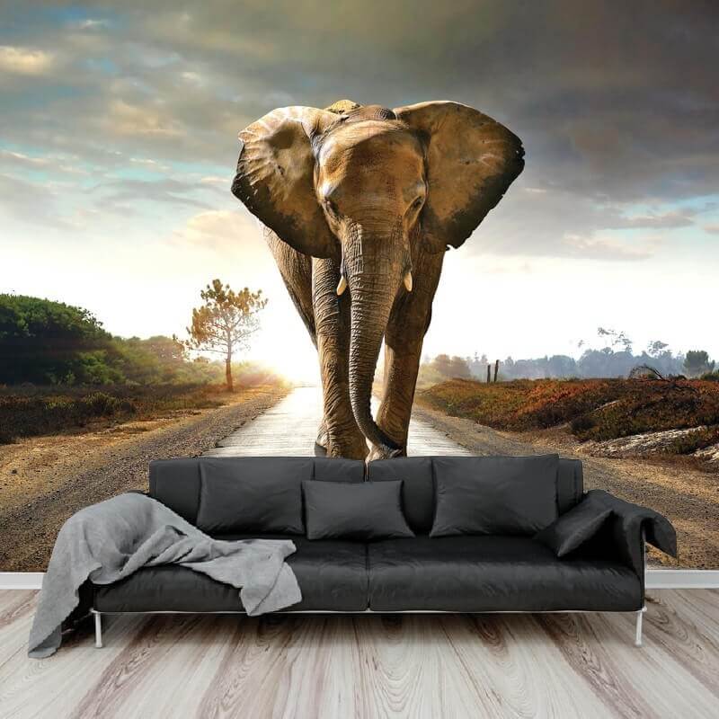 Ταπετσαρία τοίχου με ελέφαντα