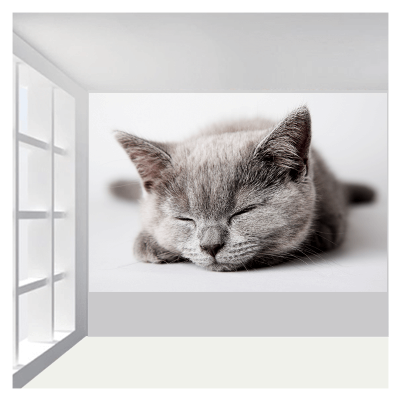 Υφασμάτινη φωτοταπετσαρία με γάτα
