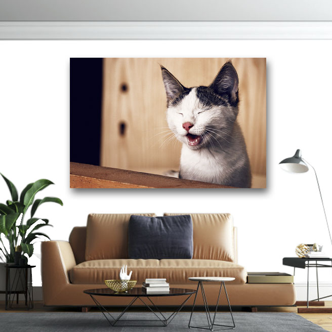 Πίνακας σε καμβά Χαμογελαστή Γάτα 80x120 Τελαρωμένος καμβάς σε ξύλο με πάχος 2cm