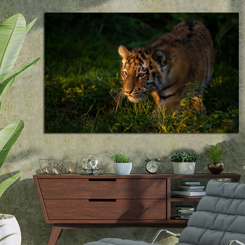Πίνακας με Big Cat 97x60 Τελαρωμένος καμβάς σε ξύλο με πάχος 2cm
