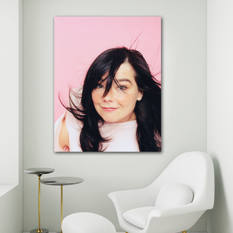 Πίνακας σε καμβά Bjork 2 50x63 Τελαρωμένος καμβάς σε ξύλο με πάχος 2cm