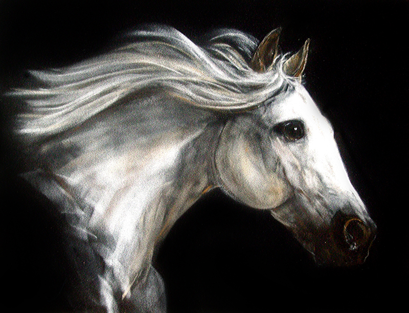 πίνακας σε καμβά ασπρόμαυρος με άλογο